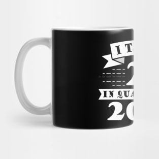 I Turned 27 in Quarantine 2021 Mug